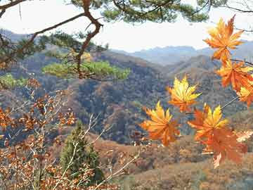 澳門正版資料大全免費(fèi)噢采資,實(shí)地分析考察數(shù)據(jù)_Mixed51.708