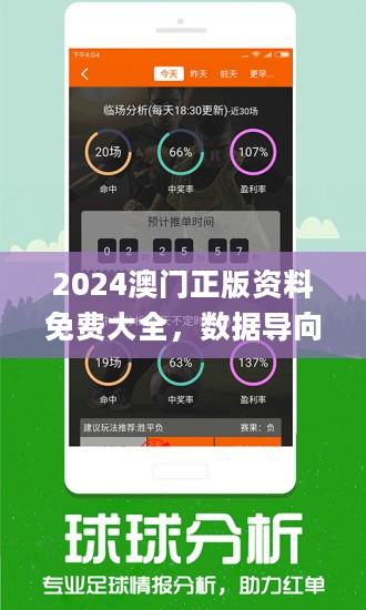 2024新澳精準(zhǔn)正版資料,全面理解計(jì)劃_Tizen65.299