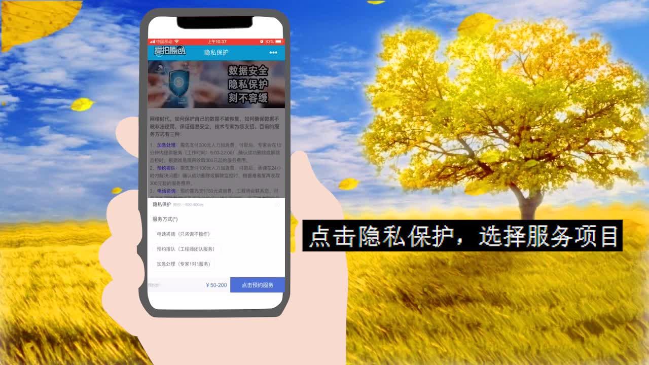 新奧開獎(jiǎng)歷史記錄查詢,持續(xù)解析方案_桌面版45.177