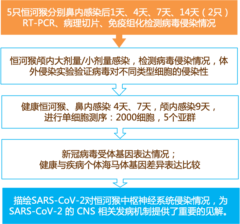 新奧資料免費(fèi)精準(zhǔn),實效性解析解讀策略_基礎(chǔ)版45.743